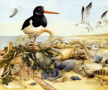 Vögel Schale Küste Ölgemälde
